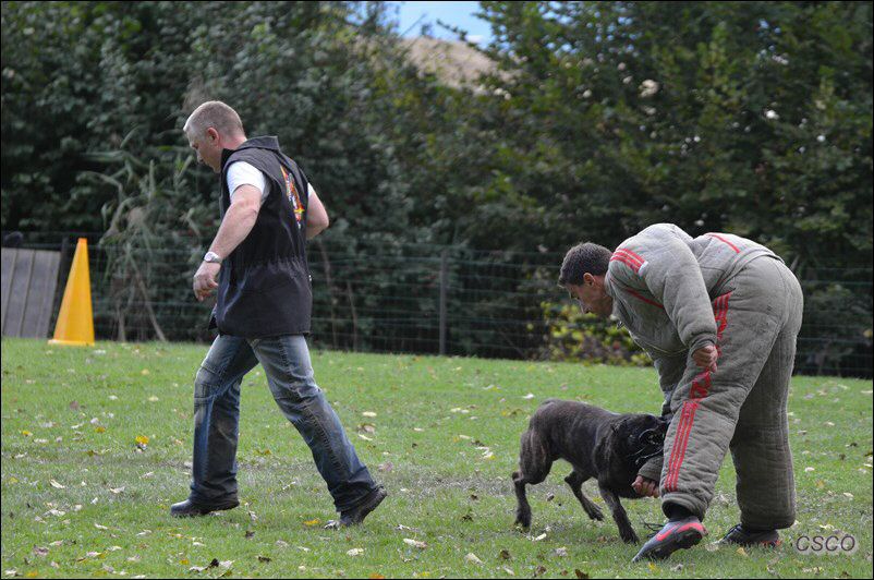 2013-defens3-champ-Falko (Copier).jpg